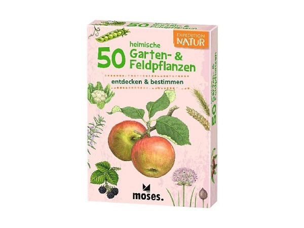 Spiel Moses Kartenspiele