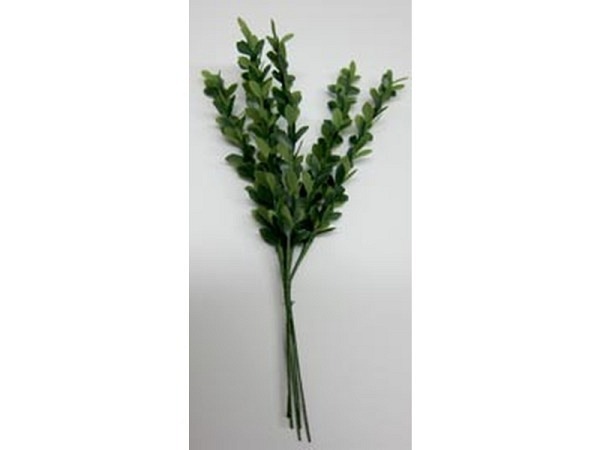 Dekoblumen Pflanzen Buchs mini