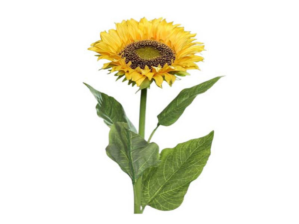 Dekoblumen E.C Fischer Blumen gross Sonnenblume