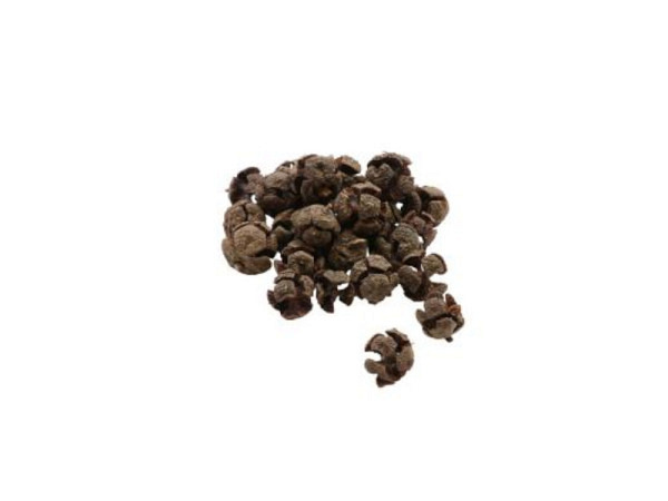 Dekoblumen Glorex Himbeer-Knospen 80g