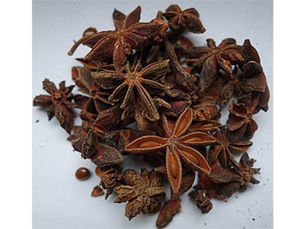 Dekoblumen Früchte Sternanis ca.50g 