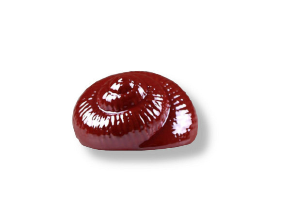 Deko Muschel rund rot 8x5cm