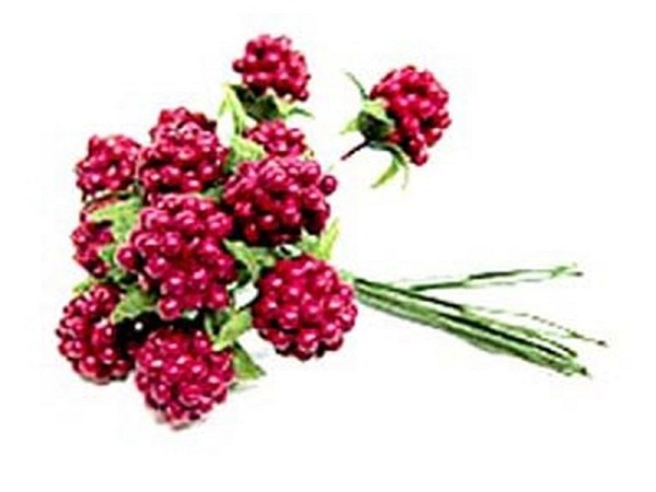 Dekoblumen Früchte Beeren-12erPick Himbeere