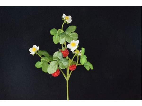 Dekoblumen Früchte Erdbeeren-Pick 30cm 