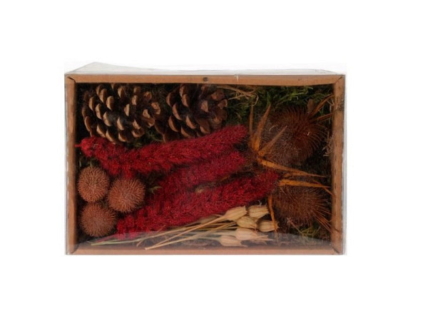 Dekoblumen Trockenblumen mini rot in Box