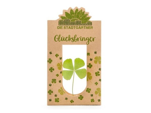Dekoblumen Die Stadtgärtner Glücksbringer Echtes vierblätteriges Kleeblatt hinter Glas