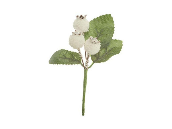 Dekoblumen Glorex Früchte Deko Beeren weiss 12mm