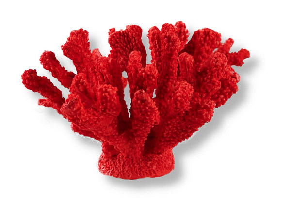 Deko Koralle Rot 21cm