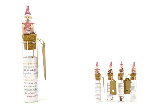 Deko Locnikar Reagenzglas Santa rose