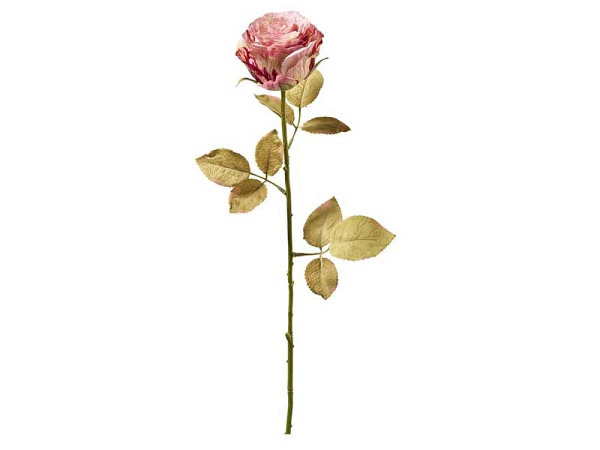 Dekoblumen E.C Fischer Blumen Rose