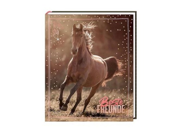 Freundschaftsbuch Coppenrath I Love Horses - bes..