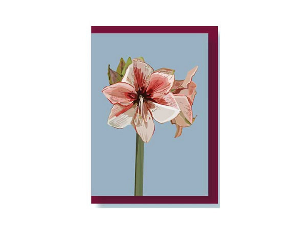 Karte Studio Moikka Amaryllis
