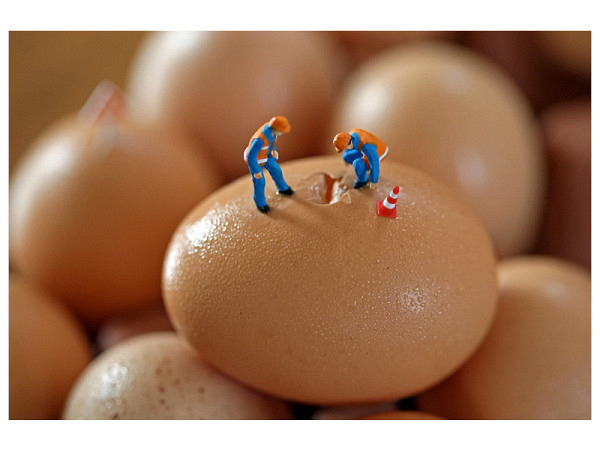 Karte Big Appetites Egg Crack Crew