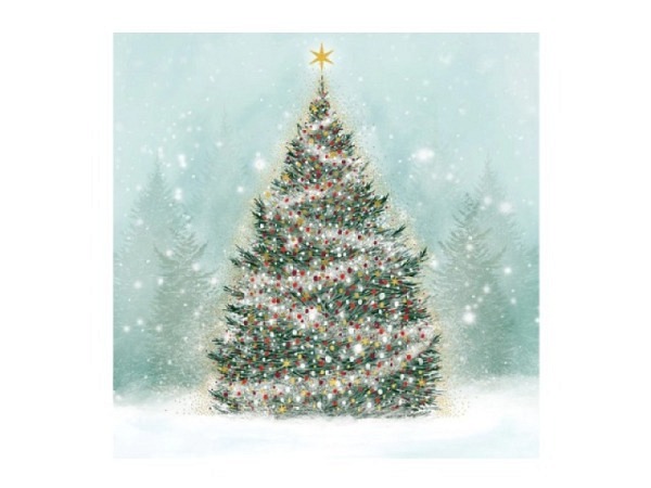 Weihnachtskarte Luxury Box 8er Set Weihnachtsbaum 15,8x15,8cm