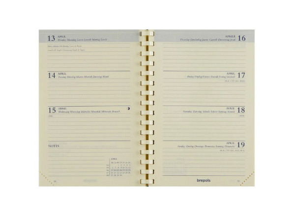 Agenda Brepols Delta Ersatzeinlage