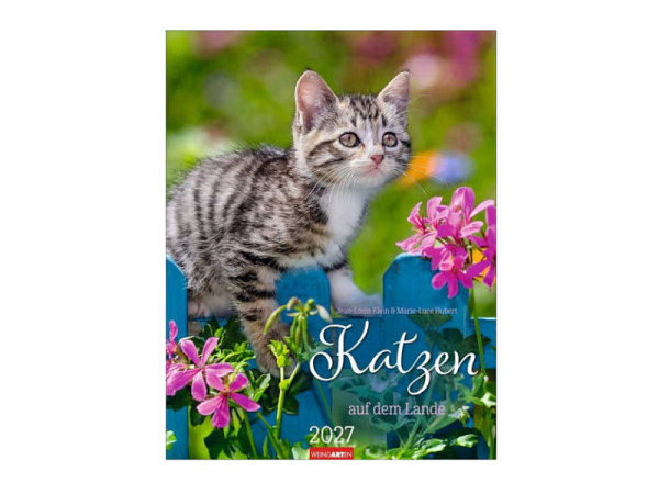 Kalender Katzen auf dem Lande 30x39cm