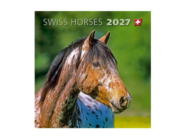 Kalender Swiss Horses, Schweizer Pferde, 29x29cm