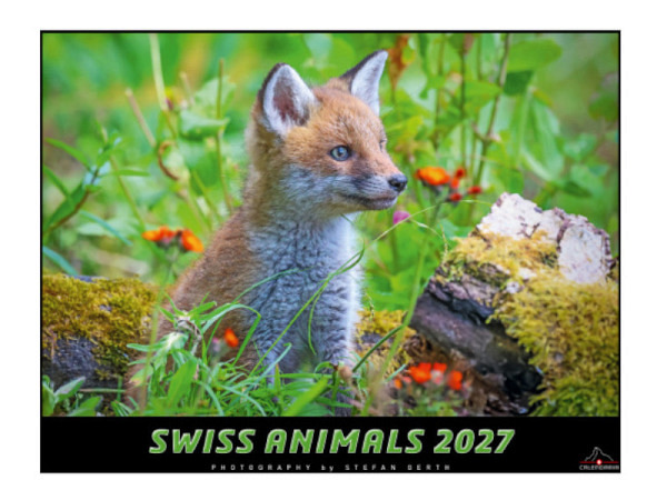 Kalender Swiss Animals 40x31cm