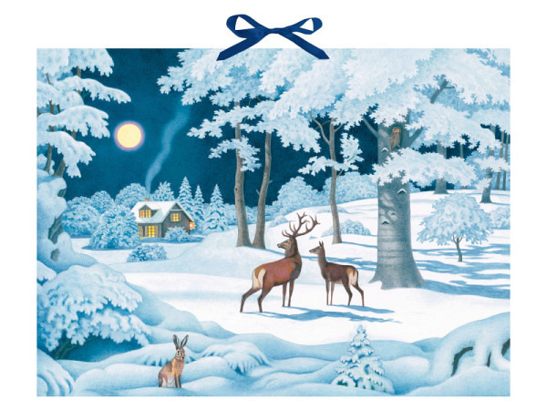 Adventskalender Coppenrath Wintertiere bei Nacht