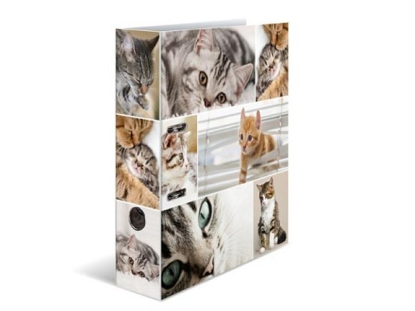 Ordner Herma Animals Katzen