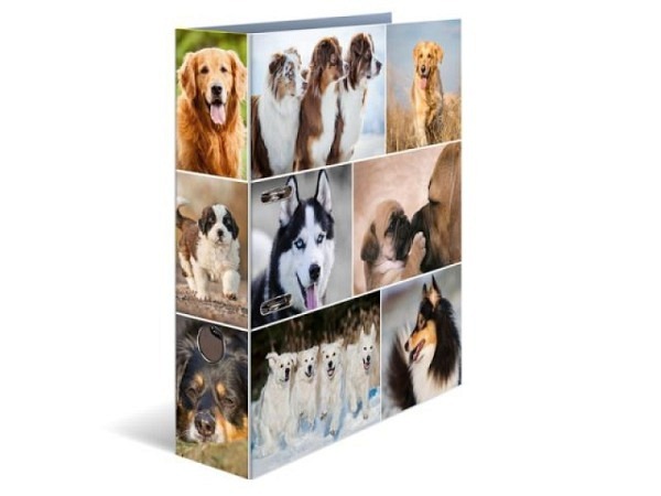 Ordner Herma Animals Hunde