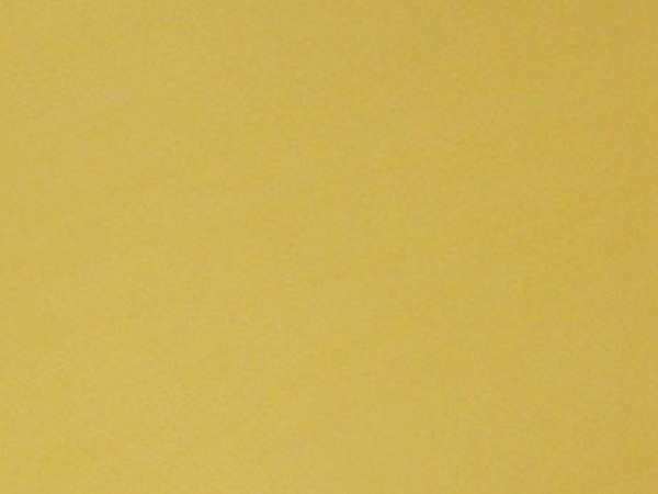 Tonzeichenpapier Folia A4 130g/qm gold 100 Blatt