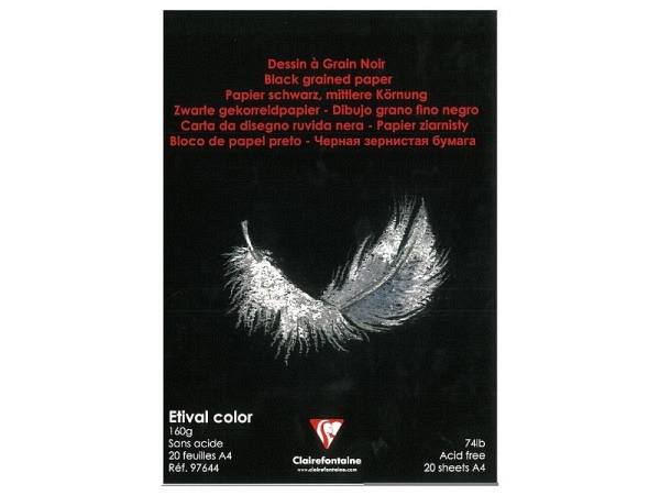 Papier Clairefontaine Etival Color A4 