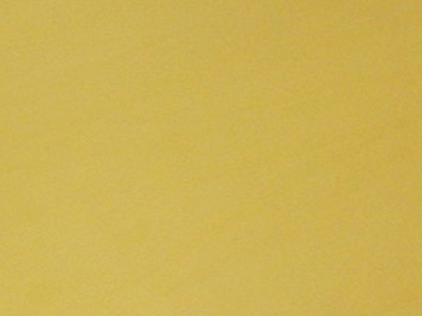 Fotokarton Folia A4 300g/qm gold matt