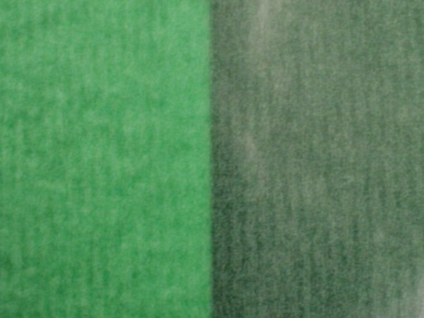 Pergamin Marpa Jansen 70x100cm dunkelgrün 