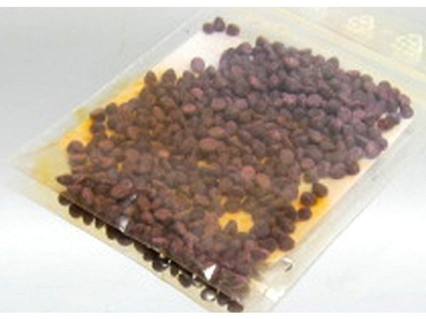 Kerzenfarbe Exagon Wachsfärbe-Pigmente 10g