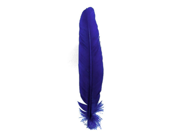 Federn Banro Indianerfedern violett 