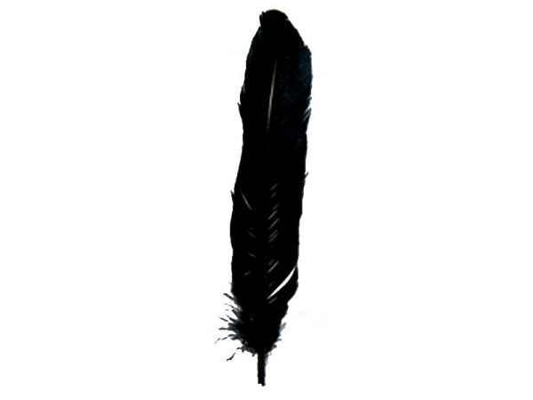 Federn Banro Indianerfedern schwarz 