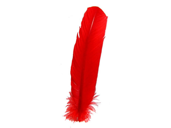 Federn Banro Indianerfedern rot 