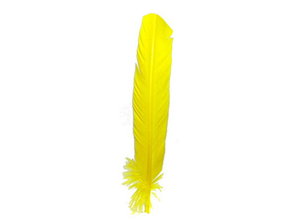 Federn Banro Indianerfedern gelb 