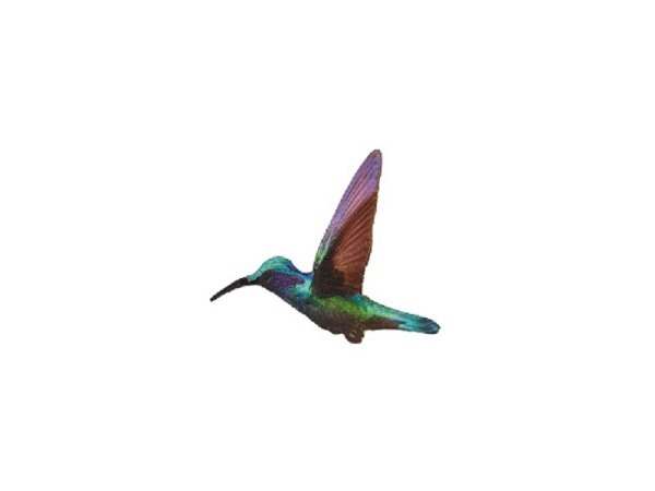 Bügelmotive Welti Bügelmotiv Kolibri