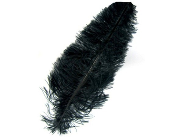 Federn Banro Straussenfeder 30cm