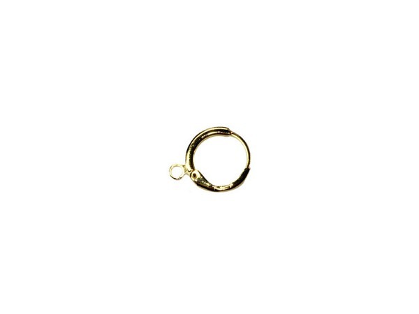 Ohrhaken Pracht Ohrringe rund gold 13mm