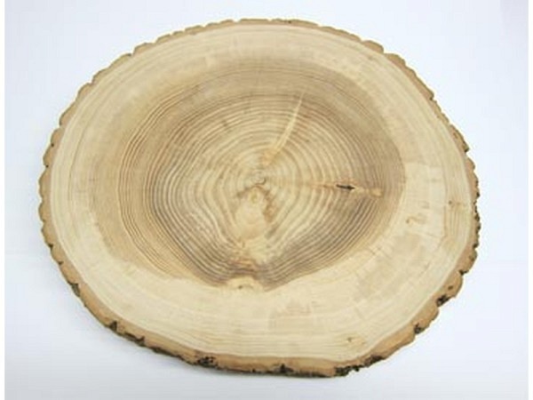 Holzscheibe Ruff Rindenbrett, rund