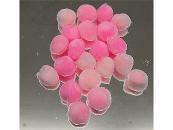 Pompom Rayher Pompon 15mm