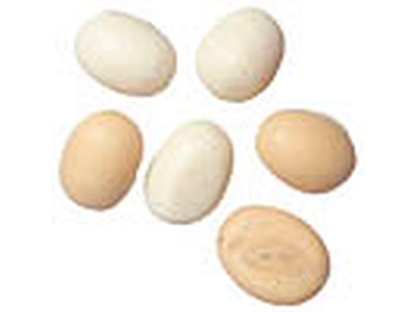 Miniatur Lebensmittel Eier 6er Set Grösse der Eier circa 5mm