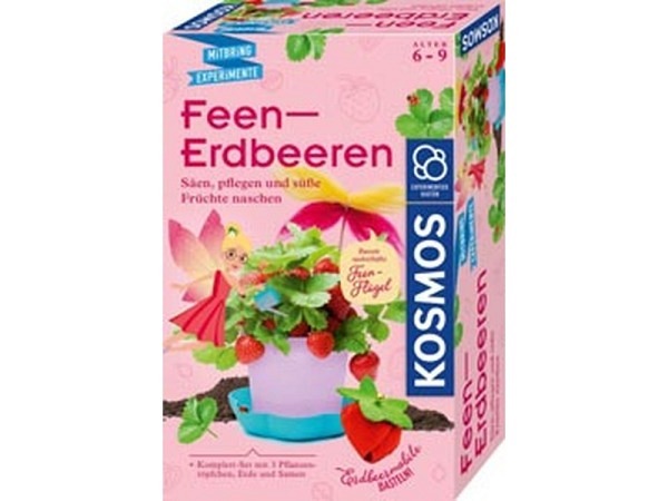 Bastelset Kosmos Feen-Erdbeeren