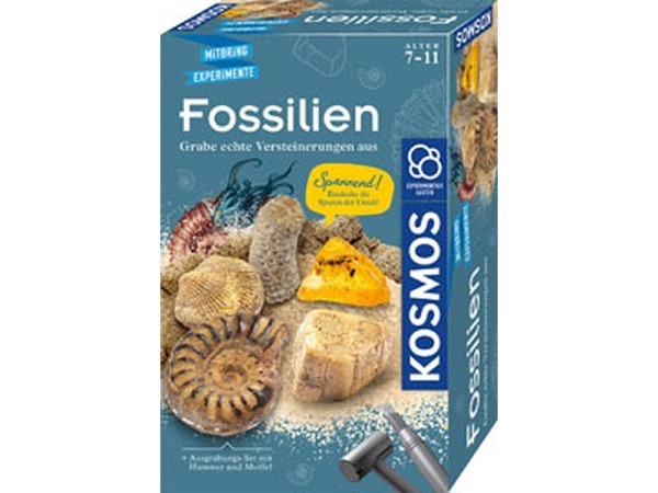 Bastelset Kosmos Fossilien