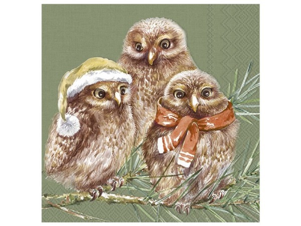 Servietten Ihr Cocktail Winter Owls 20Stk. 25x25cm grün, 3lagig