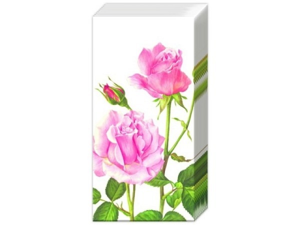 Taschentuch Ihr A Rose for you, 10Stk. bedruckt