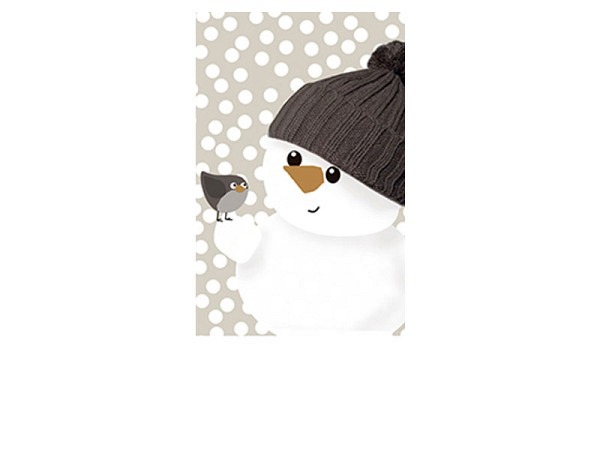 Taschentuch Braun&Company braunies Snowfriends 10Stk