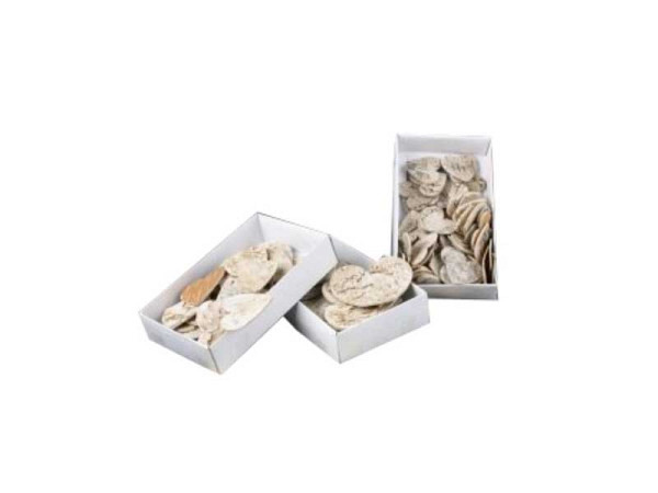 Streudeko E.C. Fischer Birkenherzen 4,5cm