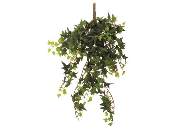 Dekoblumen Glorex Pflanzen Efeubusch
