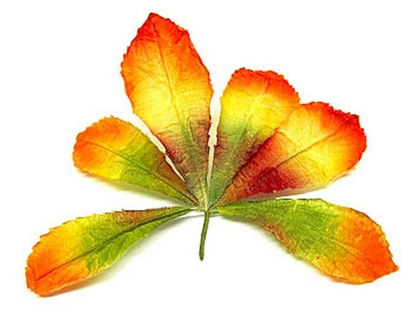 Dekoblumen Pflanzen Kastanienblatt 20x16cm