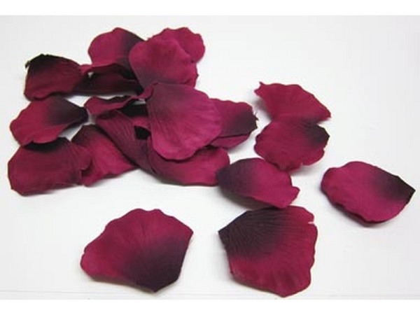 Streudeko Rosenblütenblätter Grosspack aubergine