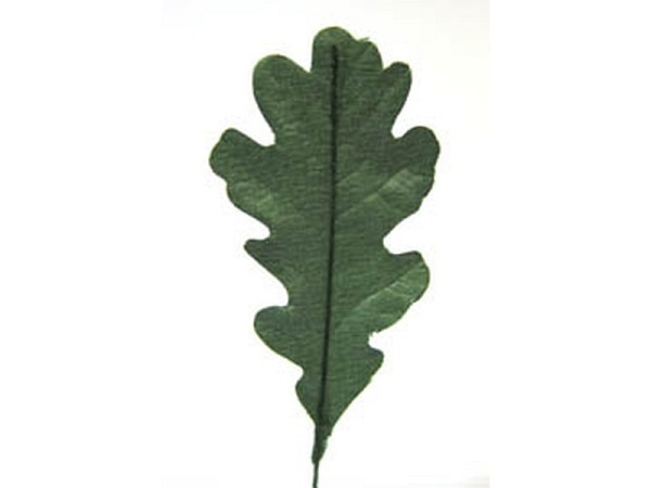 Dekoblumen Pflanzen Eichenlaub Bund